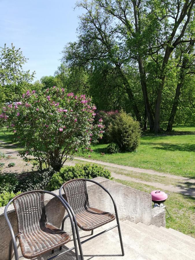 Palena Apartamenti Тервете Екстер'єр фото